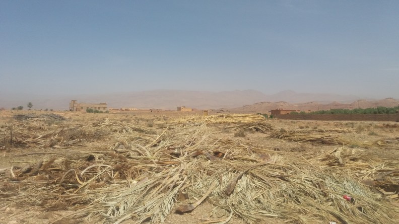 droogte in marokko.jpg
